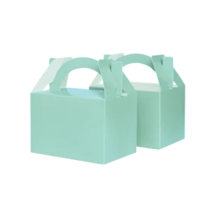 Mint Green Little Lunch Boxes (10 pack)