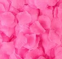 Artificial Bright Pink Silk Rose Petals 100pk