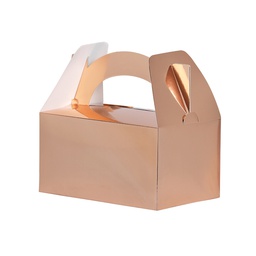 Metallic Rose Gold Little Lunch Boxes (10 pack)
