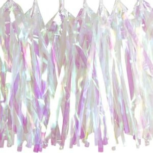 Balloon Tassels Iridescent Pink